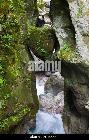 Bärenkopf (medvedova glava). Tolminschluchten, Triglav Nationalpark, Tolmin, Primorska, Slowenien, Europa. Stockfoto