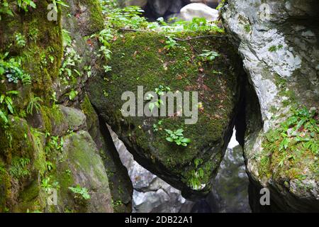 Bärenkopf (medvedova glava). Tolminschluchten, Triglav Nationalpark, Tolmin, Primorska, Slowenien, Europa. Stockfoto