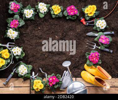 Gartenwerkzeuge Und Blumentöpfe Bereit, Im Garten Gepflanzt Zu Werden Stockfoto