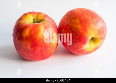 Stillleben mit zwei roten Äpfeln auf weißem Hintergrund. Stockfoto