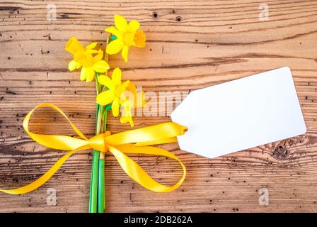 Beschriftung Mit Kopierbereich. Gelbe Frühlings-Narzissblüte Auf Rustikalem Holzhintergrund. Stockfoto