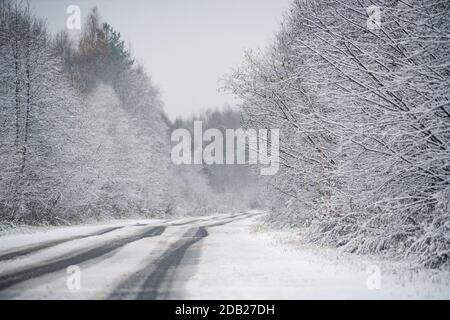 Winter Straße durch den Wald Stockfoto