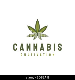 Cannabis Blatt Logo Design Vektor Stock Vektor