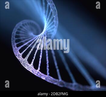 3D-Abbildung der DNA, die von Molekülen hergestellt wird, die Nukleotide genannt werden. Die vier Arten von Stickstoffbasen sind Adenin, Thymin, Guanin und Cytosin. Stockfoto