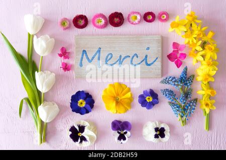 Mit Französischem Text Unterzeichnen Merci Bedeutet Vielen Dank. Flaches Lay Mit Frühlingsblüten Auf Pinkfarbenem Holzhintergrund Stockfoto