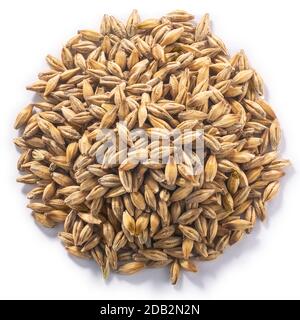 Haufen von ungehüllten Barley (Hordeum vulgare Samen), isoliert, Draufsicht Stockfoto