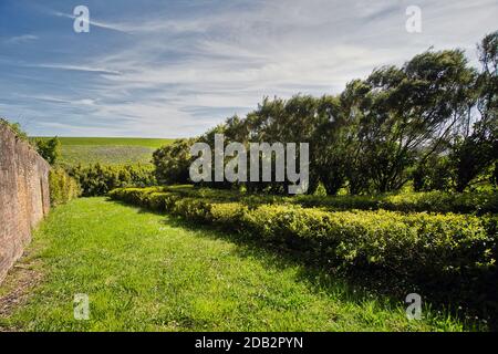 GROSSBRITANNIEN / England /Tregothnan Estate Teeplantage Stockfoto