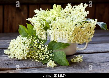 Holunderblüten in einem weißen Keramikbecher auf alten rustikalen Tisch Stockfoto