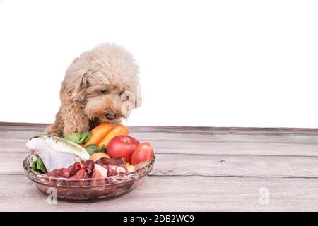 Gehorsame gesunde Hunde posieren mit Barf rohem Fleisch auf Holz Oberfläche Stockfoto