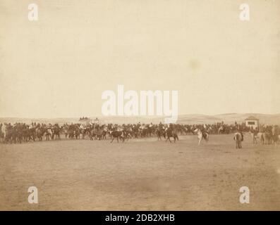Lange Reihe von Lakota Männer auf dem Pferderücken, die sich darauf vorbereiten, Rinder zu seilen; einige auf dem Pferderücken galoppieren auf Rinder - wahrscheinlich auf oder in der Nähe von Pine Ridge Reservation. Stockfoto