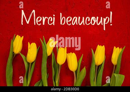 Roter Holzhintergrund Mit Französischem Text Merci Beaucoup Bedeutet Vielen Dank. Gelbe Tulpenblumen In Der Frühlingssaison Stockfoto