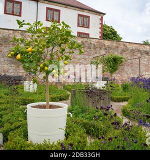 Garten vor Schloss Wilhelmsburg in Schmalkalden in Deutschland Stockfoto