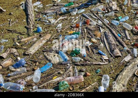 Kunststoffabfälle treiben in verschmutztem Wasser angesammelt an einem Damm, Umweltprobleme Stockfoto