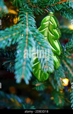 Eichenblatt hängend als Dekoration auf einem grünen Weihnachtsbaum, Nahaufnahme. Mistelblatt Stockfoto