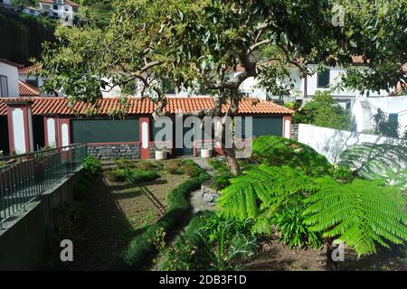 Garten auf Madeira Stockfoto