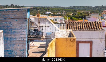 Traditioneller Taubenkäfig auf den Dächern der Stadt Moncarapacho, Portugal Stockfoto