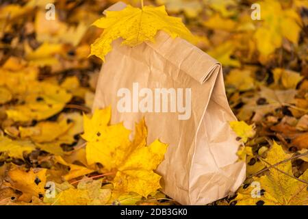 Fernarbeit. Paket mit Lieferung von Lebensmitteln im Herbst Park Stockfoto