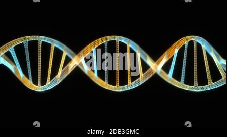 3D-Abbildung der DNA, die von Molekülen hergestellt wird, die Nukleotide genannt werden. Die vier Arten von Stickstoffbasen sind Adenin, Thymin, Guanin und Cytosin. Stockfoto