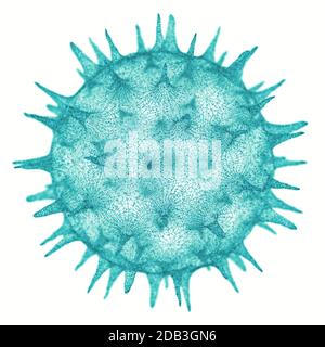 Konzeptioneller Veranschaulichungsvirus. Bild eines Virus, Erreger mit generischer Virusform. 3D-Abbildung. Stockfoto