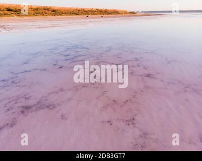 Erstaunliche Formen der Landoberfläche aus Wasser und Salz, Natur abstrakter Hintergrund, Luftbild. Rosa extrem salzig Kuyalnik Liman in Odessa, salzig Stockfoto
