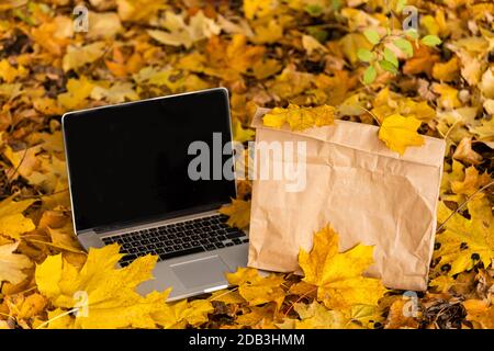 Fernarbeit. Laptop und Paket mit Essen Lieferung im Herbst Park Stockfoto