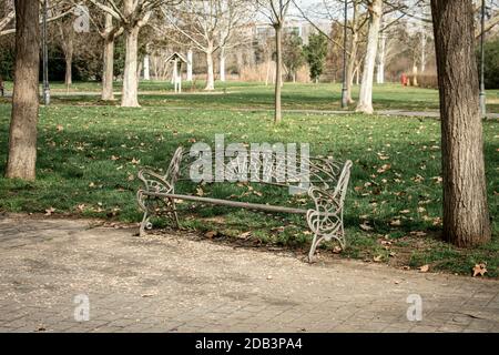 Graue schmiedeeiserne Bank, die niemand zu besetzen hat, befindet sich in einem Park mit viel Gras und Bäumen in herbstlicher Atmosphäre Stockfoto