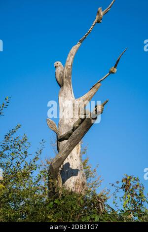 Baum geschnitzter Wegweiser für Alverstone Mead Naturschutzgebiet, Isle of Wight UK. Oktober 2020 Stockfoto