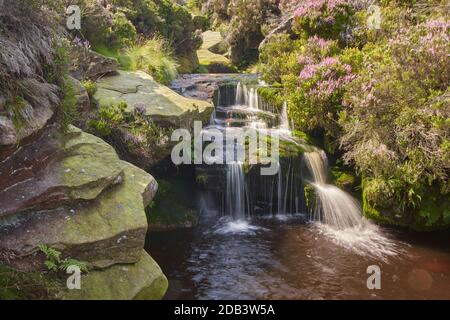 Ein kleiner Wasserfall auf den Felsen im Peak District Nahe Middle Black Clough Stockfoto