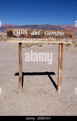 Geyser Ojos del Campo am Salar von Antofalla in der Puna de Atacama, Argentinien. Antofalla liegt in der Antofagasta de La Sierra Abteilung des No Stockfoto