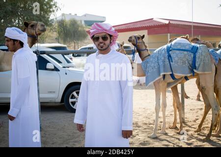 Vereinigte Arabische Emirate / Al Dhaid / Kamelbesitzer mit seinen Kamelen, in der Nähe der Kamelrennbahn. Stockfoto