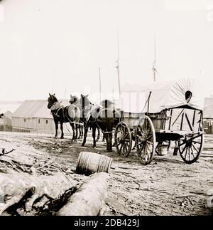 City Point, Virginia (in der Nähe). Vier-Maultier-Armee-Team und Wagen. Stockfoto