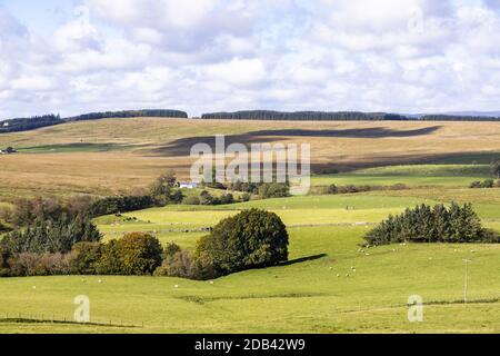 Das abgelegene Upland Cottage von Cairny Croft auf den Pennines in der Nähe von Greenhead, Northumberland UK Stockfoto