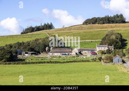 Die Upland Farm von Bradley auf den Pennines unterhalb der Hadrians Wall auf Hotbank Crags in der Nähe von Bardon Mill, Northumberland UK Stockfoto