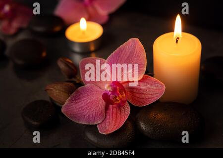 Orchideenblume mit Spa-Steinen und Kerzen. Beauty-Behandlung-Konzept Stockfoto