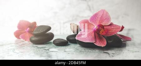 Alternative Therapie. Orchideenblumen mit schwarzen Steinen auf Marmorgrund. Banner Stockfoto