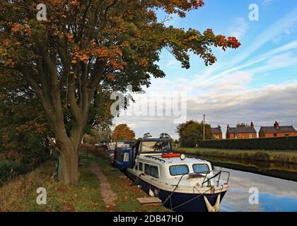 Die Sonne fängt die Herbstfarben gegen den blauen Himmel über den Kanalbooten an der Crabtree Lane auf dem Leeds und Liverpool Kanal, Burscough. Stockfoto