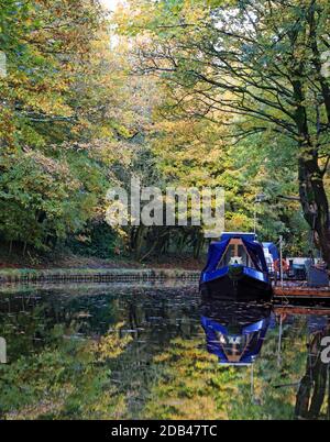 Die Herbstblätter fallen auf die reflektierten festgetäuten Boote und Bäume in die Gewässer der Leeds und Liverpool bei Adlington in Lancashire. Stockfoto