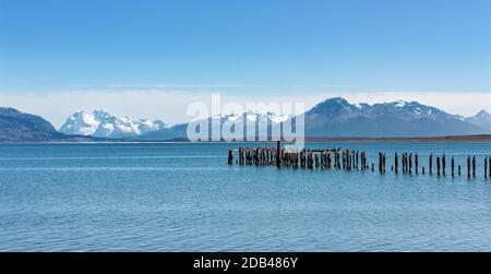 Alte Anlegestelle mit King-Kormoranen am Ultima Esperanza Fjord in der Nähe von Puerto Natales, Patagonien, Chile Stockfoto