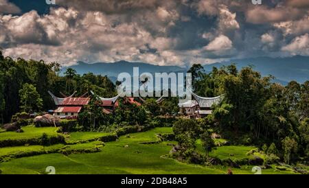 Reisfelder und Dorf in Batutumonga, Tana Toraja, Süd-Sulawesi, Indonesien Stockfoto