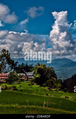 Reisfelder und Dorf in Batutumonga, Tana Toraja, Süd-Sulawesi, Indonesien Stockfoto