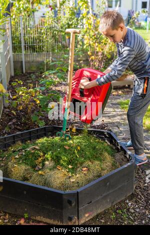 Kind hilft im Garten - Hinzufügen von Rasenschnitt in Kompostierbehälter Stockfoto