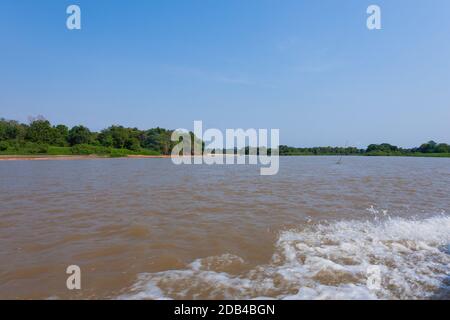 Panorama vom Pantanal, brasilianische Feuchtgebiet Region. Schiffbaren Lagune. Südamerika-Wahrzeichen Stockfoto