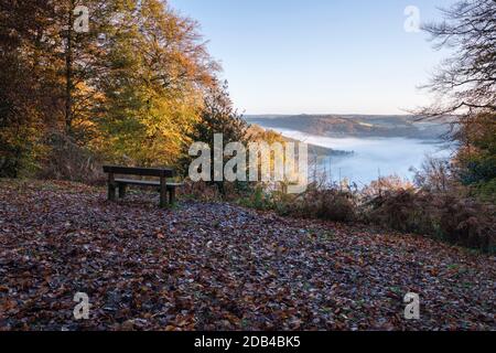 Holzbank mit Blick auf das Wye-Tal von Cuckoo Wood bei Tintern. Stockfoto