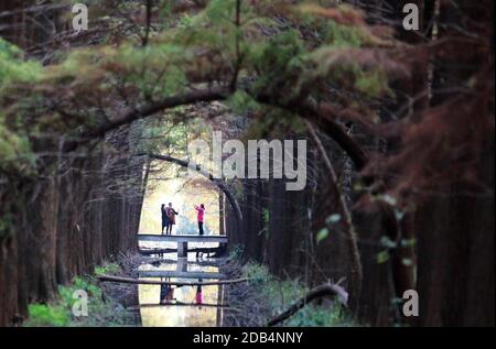 Yangzhou, Chinas Provinz Jiangsu. November 2020. Touristen besuchen den Qingshuitan Feuchtgebiet Park in der Stadt Gaoyou in Yangzhou, östlich Chinas Provinz Jiangsu, 16. November 2020. Quelle: Meng Delong/Xinhua/Alamy Live News Stockfoto