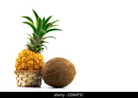 Tropische Früchte schöne exotische Zusammensetzung, für Website oder Vorlage auf weißem Hintergrund isoliert, Ananas und Kokosnuss Stockfoto