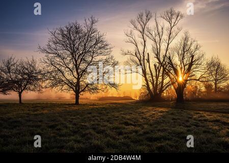 Sonnenaufgang über den Streuobstwiesen im Kahlgrund Stockfoto