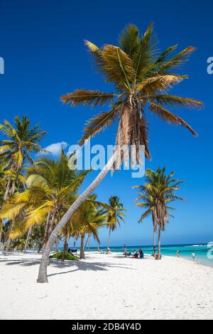 Dominikanische Republik, Punta Cana, Parque Nacional del Este, Saona, Canto de la Playa Stockfoto