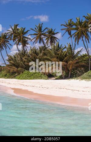 Dominikanische Republik, Punta Cana, Playa Blanca Stockfoto