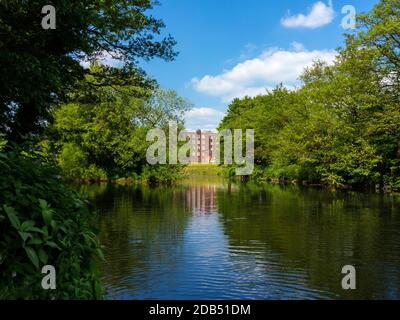 Der Fluss Derwent und Wildschweine Head Mills in Darley Abbey Ein Dorf in der Nähe von Derby in den East Midlands England Stockfoto