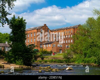 Der Fluss Derwent und Wildschweine Head Mills in Darley Abbey Ein Dorf in der Nähe von Derby in den East Midlands England Stockfoto